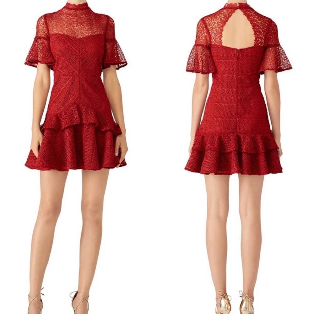 AMUR Mila Mini Lace Dress Spice